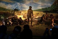 Homo erectus ya era como el hombre moderno hace 1,5 millones de años