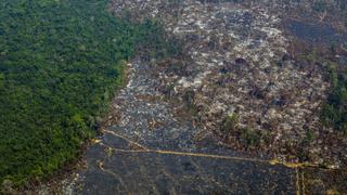 Brasil reporta reducción "considerable" de brotes de incendio en la Amazonía