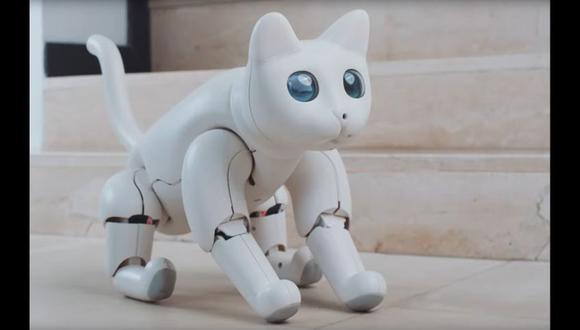 El gato robótico MarsCat es un proyecto desarrollado a través de Kickstarter y tiene un precio inicial de 649 dólares. (Foto: Elephant robotics)