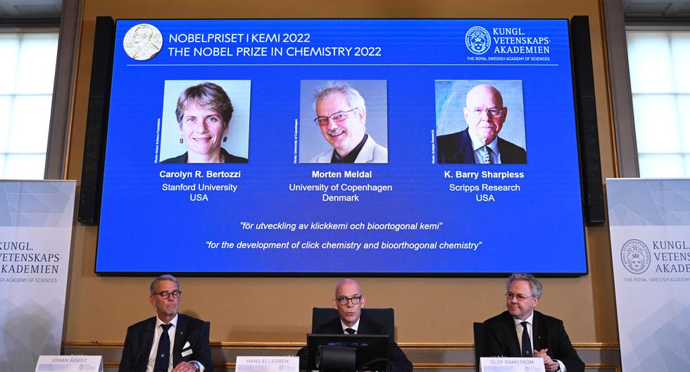 Morten Meldal, Carolyn Bertozzi and Barry Sharpless win the Nobel Prize in Chemistry