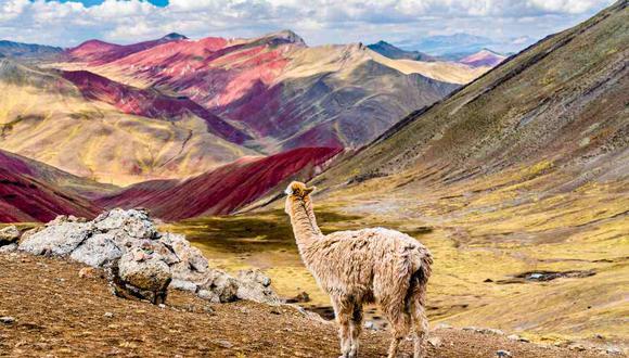 Las Montañas Arcoíris de Palccoyo, en Cusco (Foto: shutterstock)