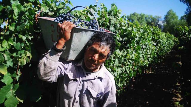La otra ruta del vino: Recorre estas bodegas en Argentina - 1