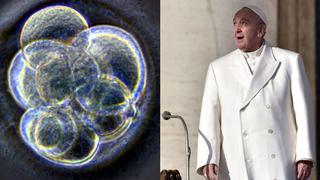 Papa Francisco: “embriones humanos no son material descartable”