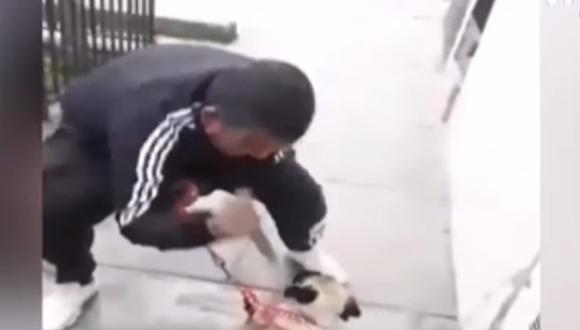 Sujeto acuchilló a la mascota de su expareja en un acto de venganza. (Foto: Captura/TV Perú)