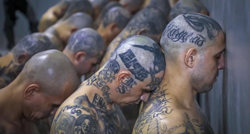 La llegada de reos pertenecientes a las pandillas MS-13 y Barrio 18 al nuevo penal Centro de Confinamiento de Terroristas (CECOT), en Tecoluca, en El Salvador. (AFP).