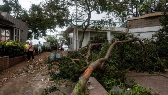 Los árboles caídos se ven en la aldea costera baja de Lei Yue Mun después del tifón Mangkhut en Hong Kong. (Foto: AFP)