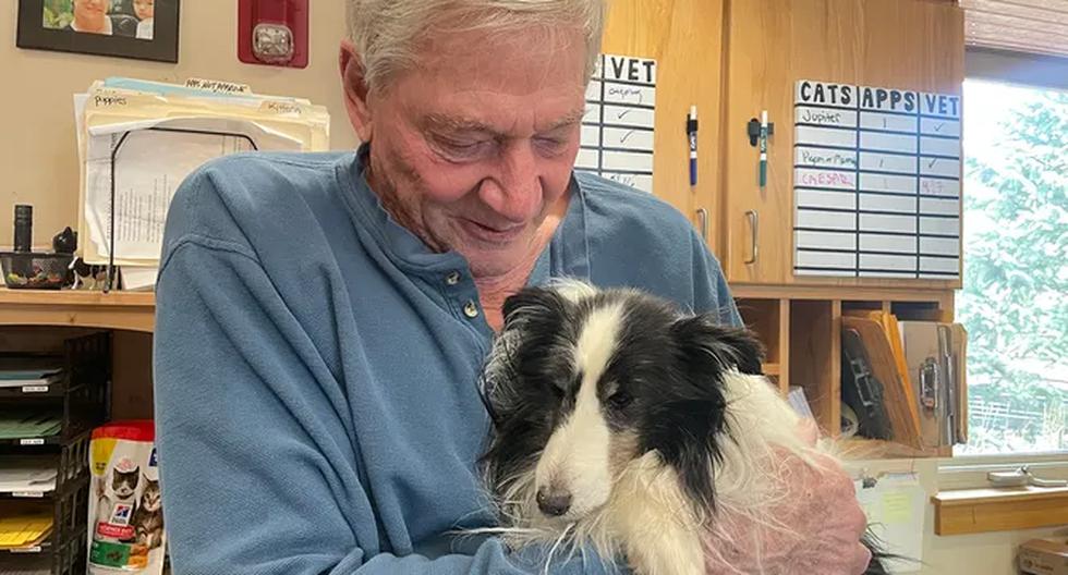 A dog returns to its owner after spending 5 weeks lost in a mountain in the US.