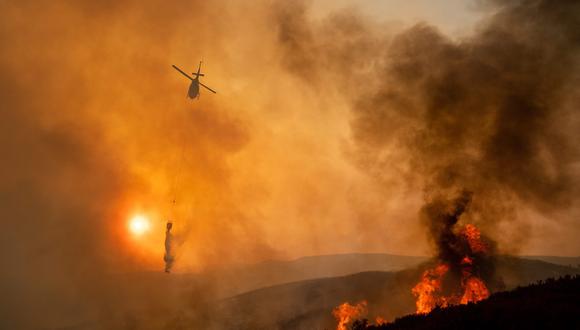 Las autoridades señalaron que las llamas que arden al norte de San Francisco cubren unos 1.148,4 kilómetros cuadrados. (AFP)