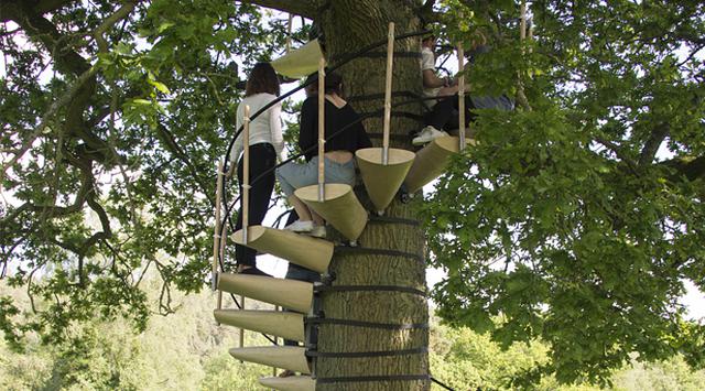 CanopyStair, la escalera que te permitirá subir a los árboles - 1