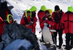 Antártida, el destino del cuestionado “turismo de última oportunidad” | FOTOS
