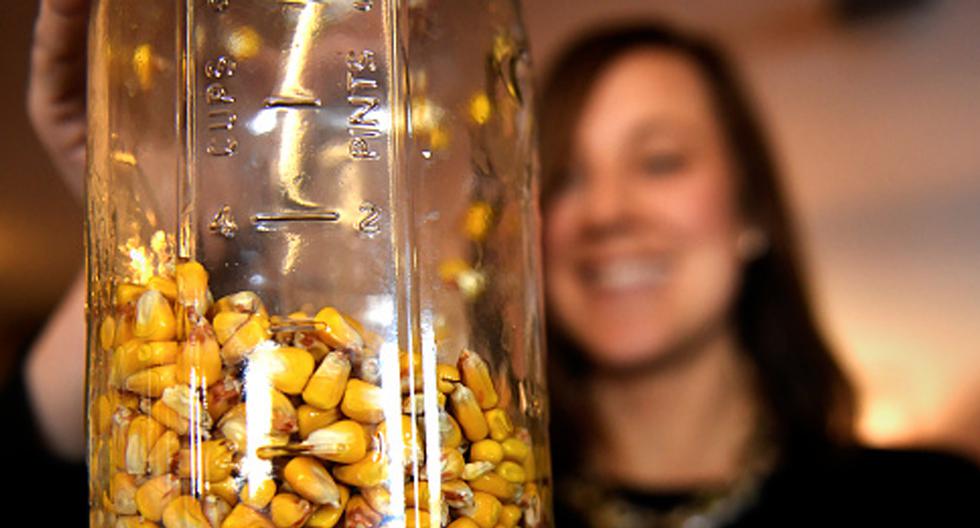 Científicos identificaron genes del maíz que influyen en la adaptación climática de la planta, la temporada de crecimiento y la época de florecimiento. (Foto: Getty Images)