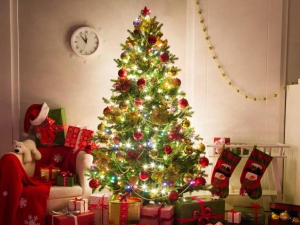 Ocupar Productivo fragmento Árbol de Navidad: ¿Qué significado tiene? Conoce su historia y origen |  Felices Fiestaas 2020 | Navidad | Nochebuena | Revtli | RESPUESTAS | EL  COMERCIO PERÚ