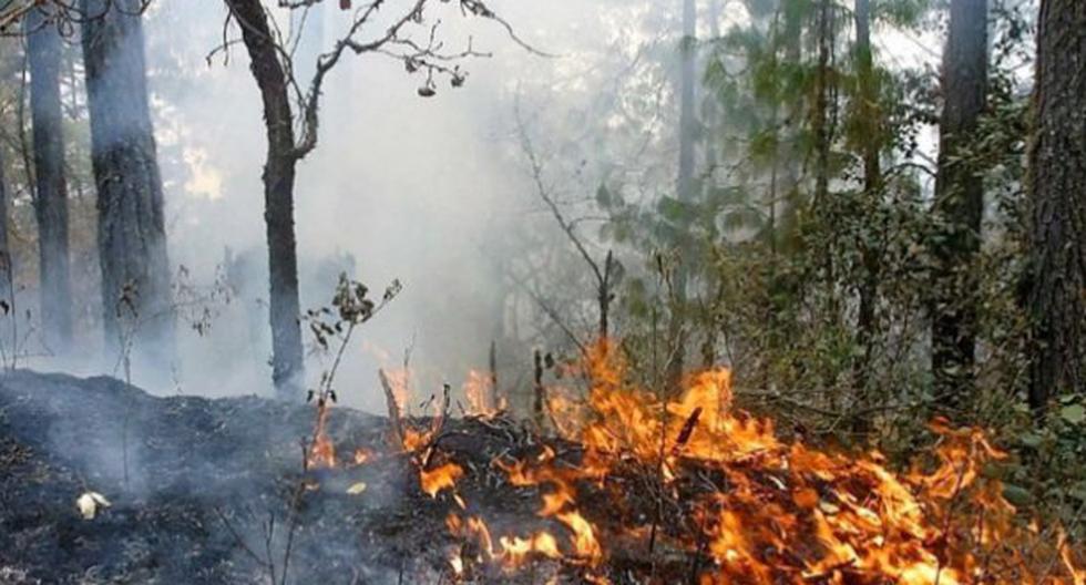2 helicópteros y 105 brigadistas intentan controlar el incendio hace seis días en la selva central. (Foto: Andina)