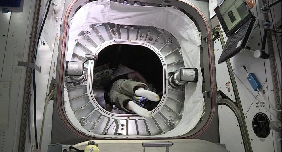 Astronauta ingresa al BEAM. (Foto: NASA)