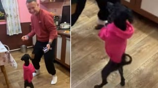 Este ‘baile’ de un perro con su dueño conquistó los corazones de todos los pet lovers en Internet