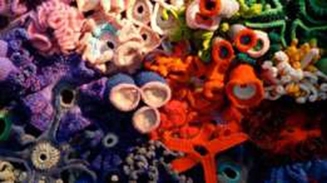 Este concepto matemático sólo se puede modelar con manualidades - 11