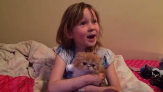 YouTube: La niña más feliz del mundo por tener un gatito