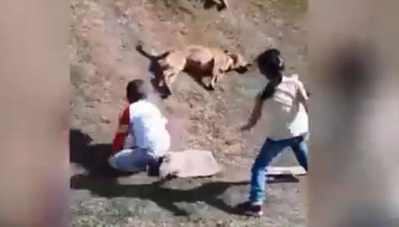 Este perrito de raza mestiza se robó el show en el juego de unos niños y quedó grabado en un video viral de Facebook. (Foto: captura).