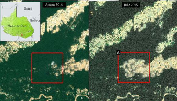 La comparación permite ver el grado de deforestación en al zona conocida como La Pampa. (Foto: MAAP)