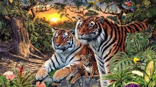 Facebook: nuevo reto visual ¿cuántos tigres ves en esta foto?