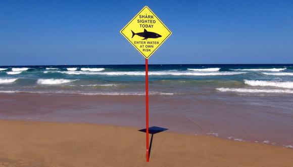Hawái: un tiburón mata a un hombre en la playa Ka'anapali Beach Park de Maui. (Foto referencial, Reuters).