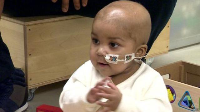 Tratamiento con células de diseño revierte leucemia en una niña - 1