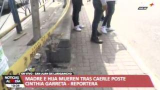 Madre e hija murieron aplastadas por poste que derribó coaster