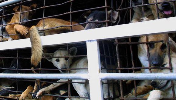 Corea del Norte celebró concurso gastronómico de carne de perro