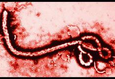 Ébola: Gobierno de Mali confirma a su país como libre del virus