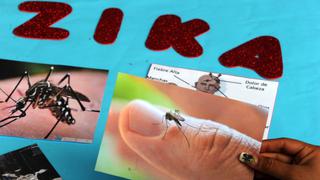 Zika: biotecnología puede ayudar a controlarlo en Brasil