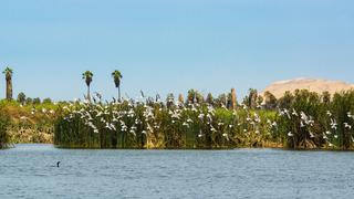 COP 20: Disfruta del lado ecológico de Lima en estos lugares