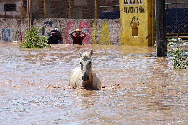 A horse walks through a street flooded by Hurricane Pamela, in the municipality of Rosamorada, Nayarit state (Mexico).  (Photo: EFE / Aarón García). 
