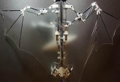 Diseñan robot volador que imita los movimientos de murciélagos 