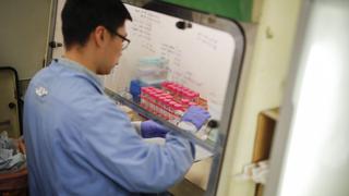 China: prevén hacer ensayos en humanos de vacuna contra coronavirus en abril