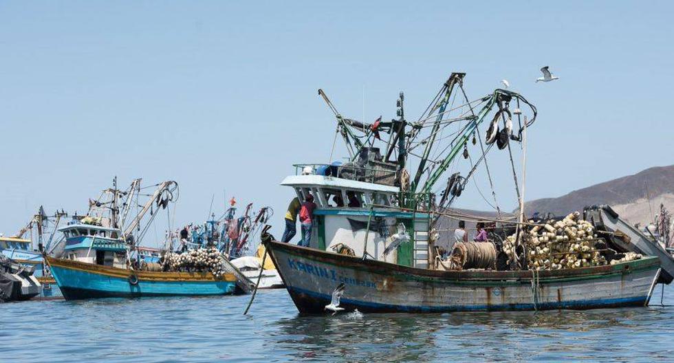 El desvío ilegal de anchoveta para producir harina de pescado asciende a 150 mil toneladas al año | Foto: Andre Baertschi