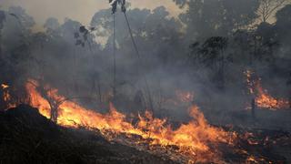 Chile enviará a Brasil cuatro aviones para incendios en la Amazonía con fondos del G7