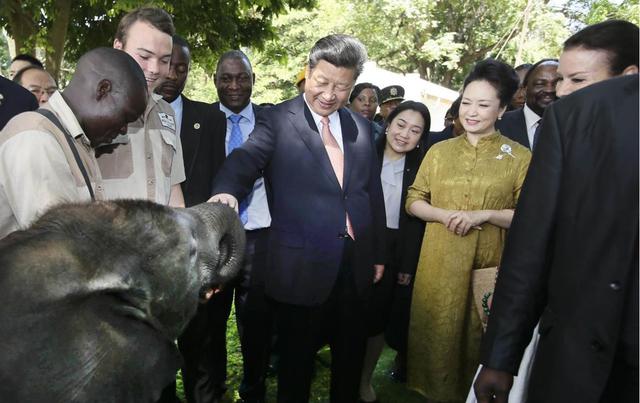 El presidente chino, Xi Jinping (centro), y su esposa Peng Liyuan visitan un santuario de vida silvestre en Harare, Zimbabwe, el 2 de diciembre de 2015. (Xinhua/Lan Hongguang)
