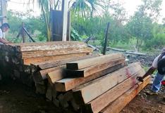 San Martín: incautan más de 23 mil pies tablares de madera durante operativo