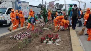 Pachacámac: siembran árboles y plantas en principales calles por Día Mundial de la Tierra