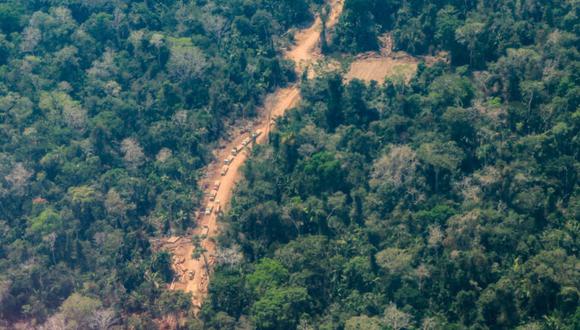 Camiones trasladando madera en medio de la Amazonía. Foto: Environmental Investigation Agency (EIA)
