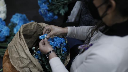 El Señor de los Milagros: preparación de alfombras