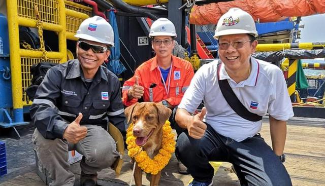 Un grupo de trabajadores dejó de lado sus funciones al divisar a un perrito en el medio del mar. (Foto: Facebook Vitisak Payalaw)