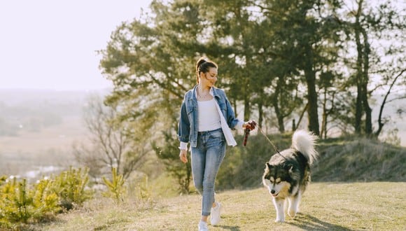 El uso de correa ayudará a que tu mascota aprenda a comportarse y luego se la podrás quitar para disfrutar el paseo. (Foto: Gustavo Fring / Pexels)
