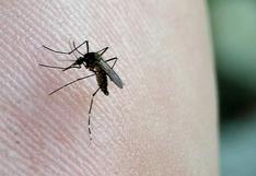 Huánuco: confirman dos casos de dengue que llegaron de Tingo María