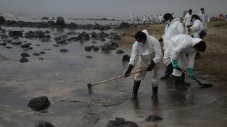 Derrame de petróleo: organizaciones promueven donaciones para limpieza del mar y rehabilitación de la fauna