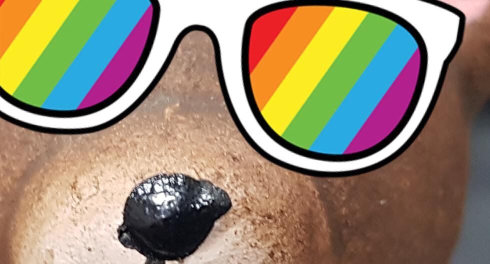 Desde ahora podrás decorar tus fotos de Instagram con divertidos stickers en referencia al mes del Orgullo LGTB. (Foto: Captura)