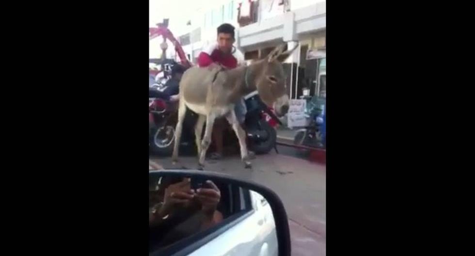 Burro infringió normas de tránsito en algún lugar de Marruecos. (Foto: HizbCM / Facebook) 