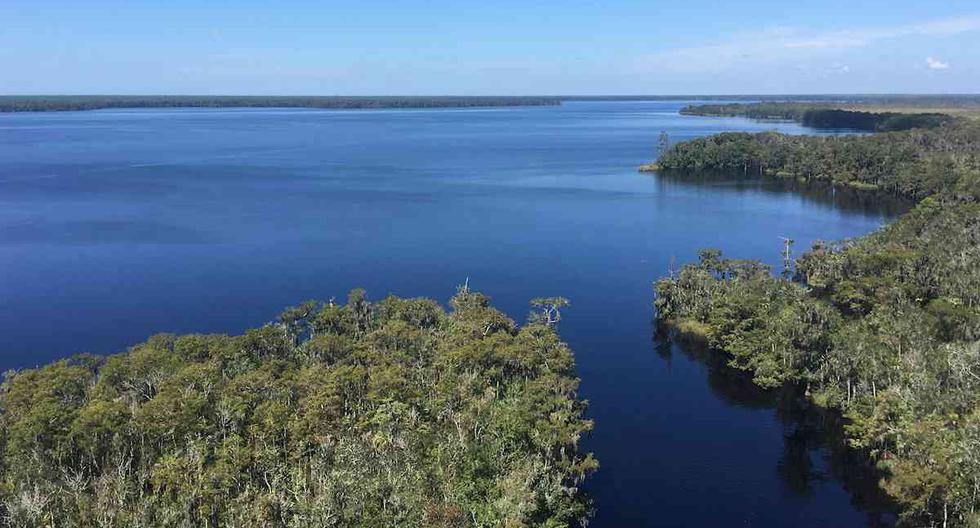 The Nature Conservancy adquirió una propiedad de más de 8.100 hectáreas Florida, en cuyo interior está enclavado el lago Wilmico. El objetivo es ayudar a mantener y proteger la calidad del agua en la cuenca del río Apalachicola y el Golfo de México. (Foto: EFE/ Lindsay Stevens/TNC )