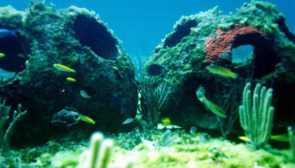 El increíble negocio de las tumbas acuáticas biodegradables