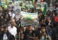 Perú: Congreso de la República aprueba uso medicinal de marihuana 